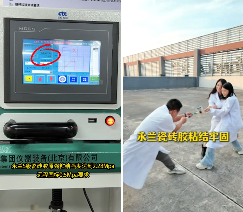 普通与S级瓷砖胶1.jpg