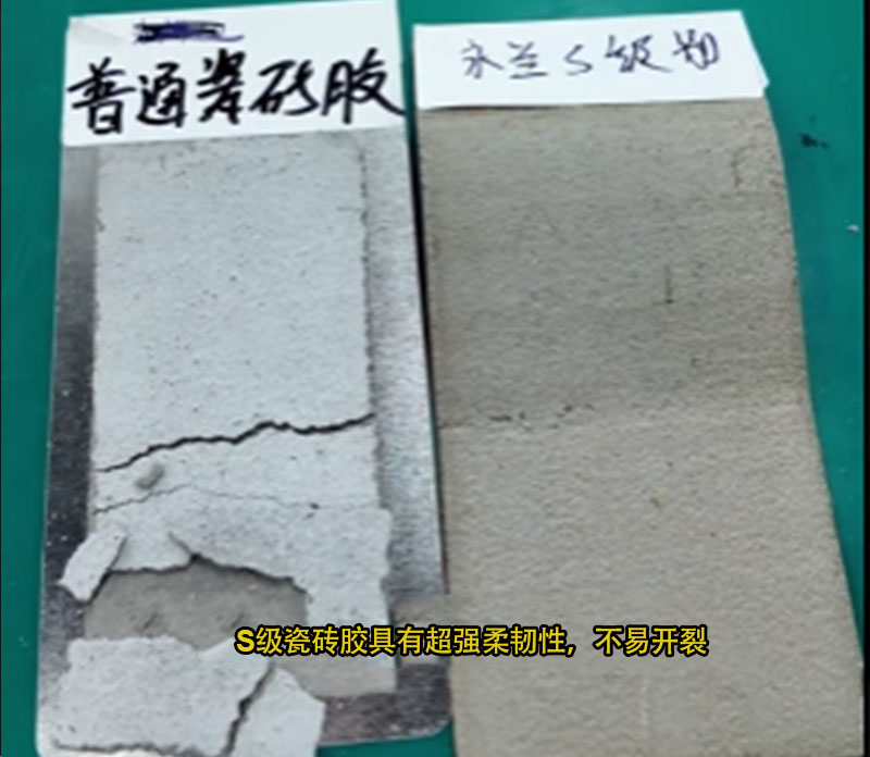 普通与S级瓷砖胶.jpg